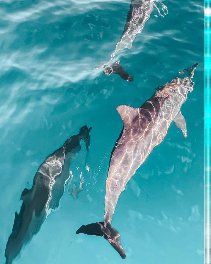 Manta Dhangethi Buitenkant foto