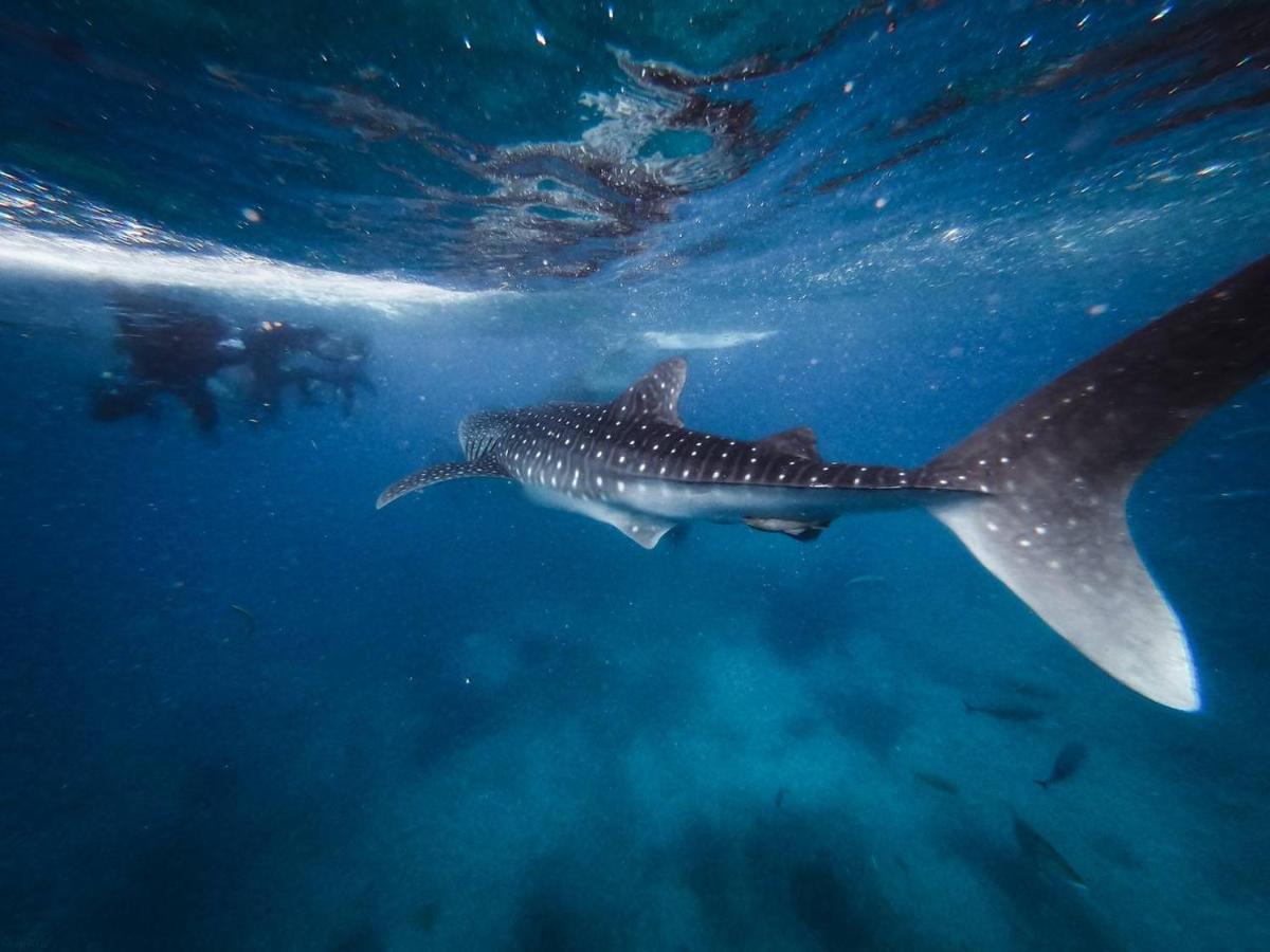 Manta Dhangethi Buitenkant foto