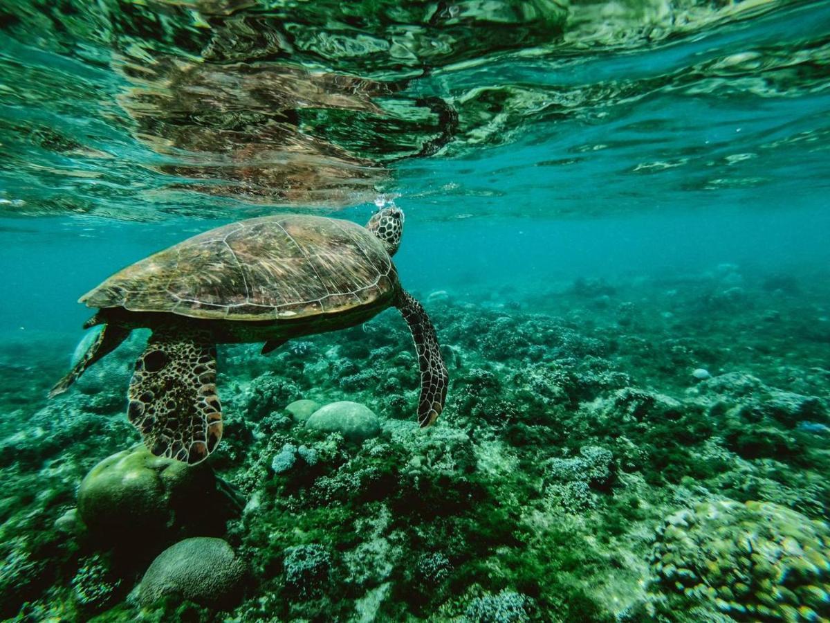 Manta Dhangethi Buitenkant foto